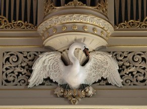 Zwaan op orgel
